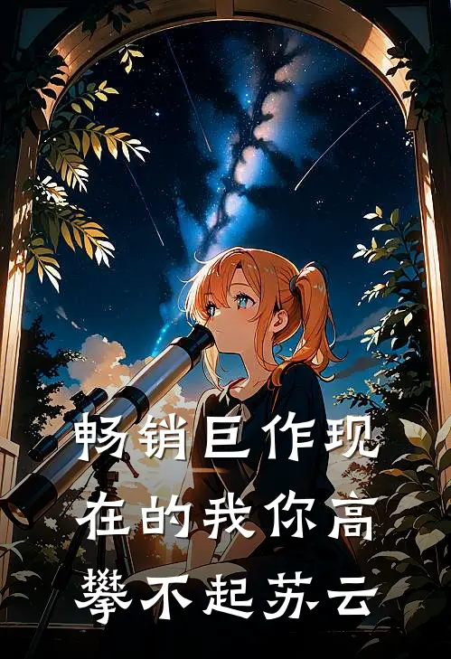 畅销巨作现在的我你高攀不起苏云